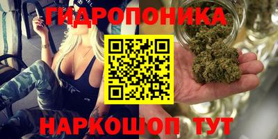 трава Будённовск