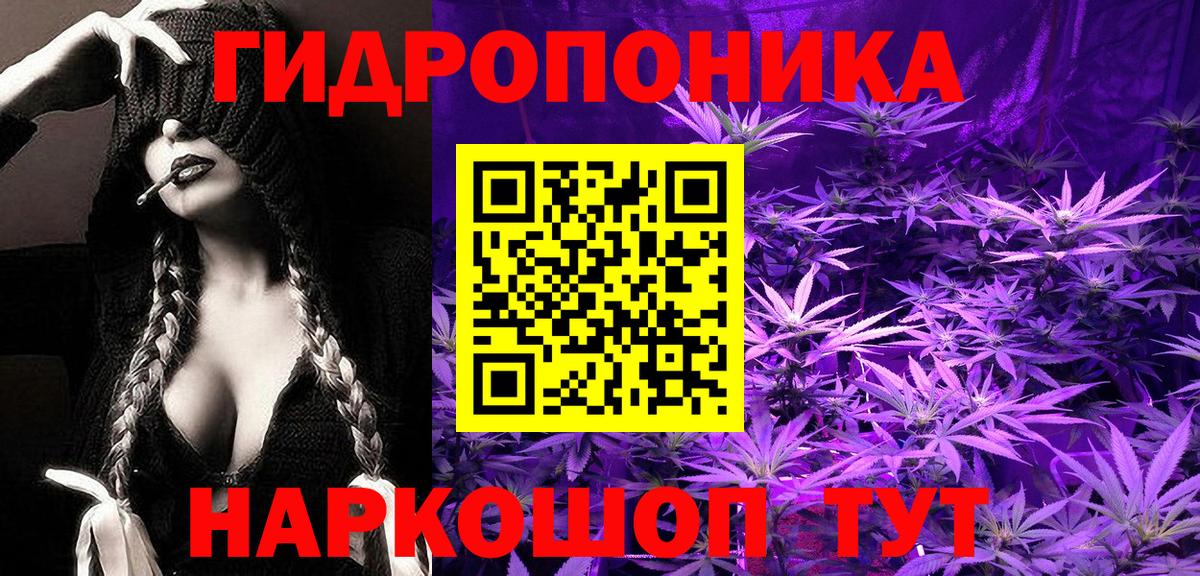 Конопля конопля Россия